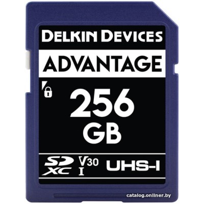 Карта памяти Delkin Devices SDXC Advantage UHS-I 256GB