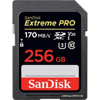 Карта памяти SanDisk Extreme PRO SDXC SDSDXXY-256G-GN4IN 256GB