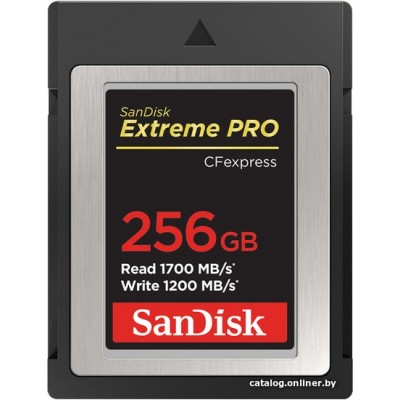Карта памяти SanDisk Extreme Pro CFexpress Type B SDCFE-256G-GN4NN 256GB