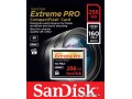 Карта памяти SanDisk Extreme Pro CompactFlash 256GB [SDCFXPS-256G-X46]