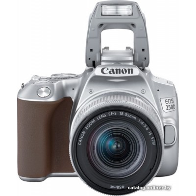 Зеркальный фотоаппарат Canon EOS 250D Kit 18-55  f/4-5.6 IS STM (серебристый)
