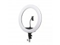 Осветитель кольцевой Falcon Eyes BeautyLight 450R LED