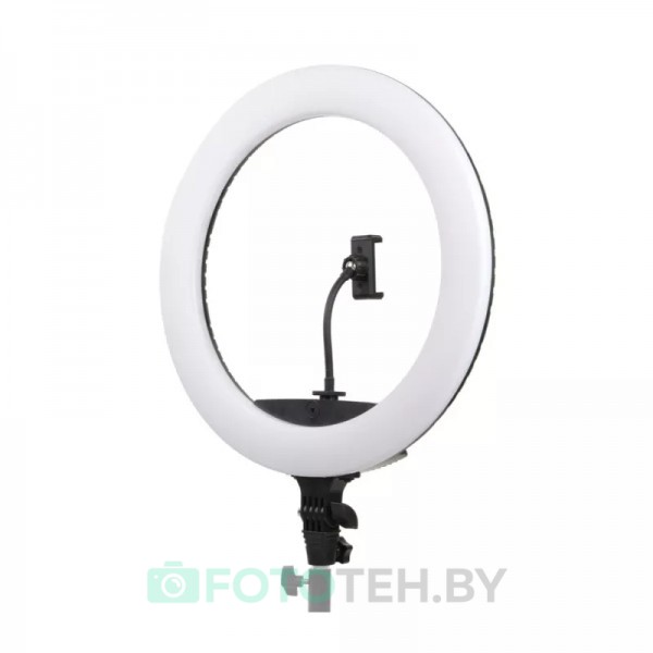 Осветитель кольцевой Falcon Eyes BeautyLight 450R LED