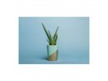 E-Image 02 Sky blue Background paper Фон бумажный, небесно-голубой 2,72 х 10,0 метров