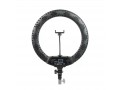 Осветитель кольцевой Falcon Eyes BeautyLight 450R LED