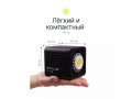 Raylab RL-40BI 2500-6500K 40W 3400mAh Осветитель светодиодный c аксессуарами