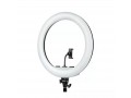 Осветитель кольцевой Falcon Eyes BeautyLight 480RC LED