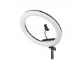 Осветитель кольцевой Falcon Eyes BeautyLight 480RC LED