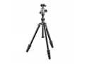 Штатив Gitzo GK0545T-82TQD Traveler с шаровой головой GH1382TQD