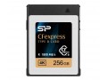 Карта памяти CFexpress Type B 256GB Silicon Power (R1800/W1600)